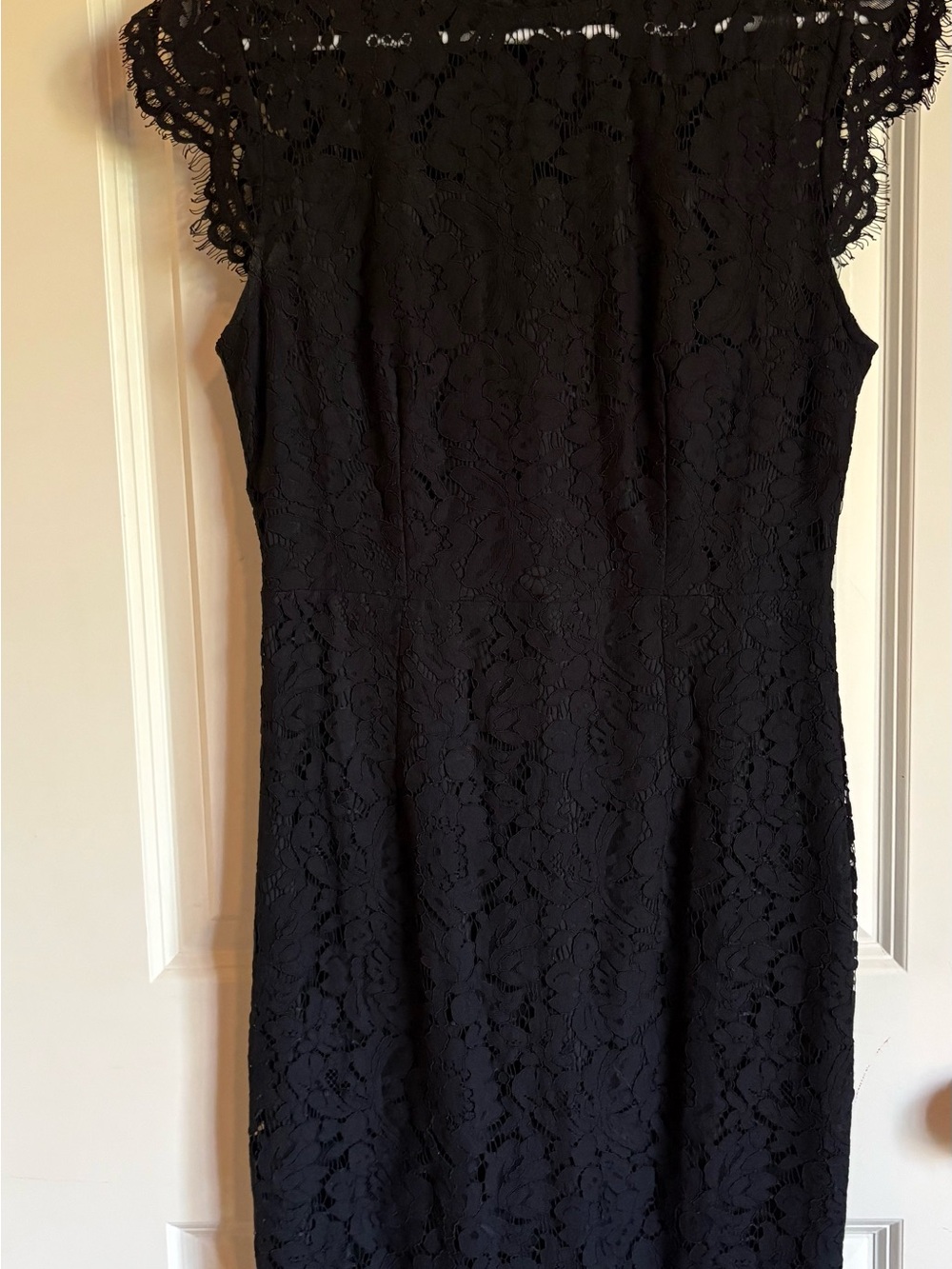 Classic Lace Sheath Dress in Black